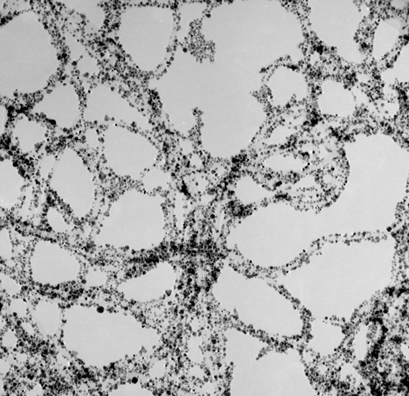 nanotubes coated wiht gold particles