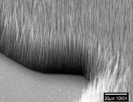 aligned carbon nanotube arrays