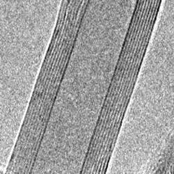 carbon nanotube TEM image