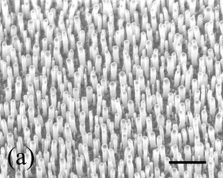 carbon nanotube antena
