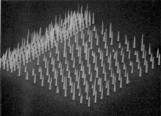 patterned carbon nanotubes array