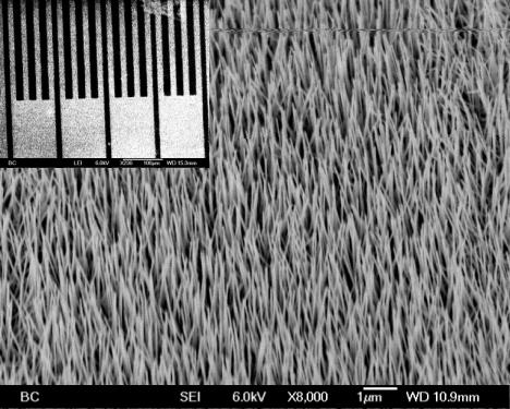 nanowires