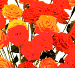 rose origami