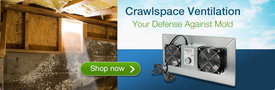 Crawl Space Ventilation - Your Defense Against Mold