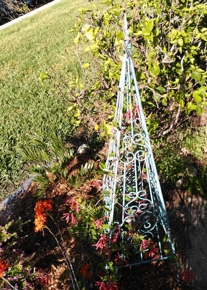 Small Mystic Chandelier