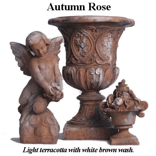Autumn Rose
