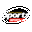 www.sportsimportsltd.com