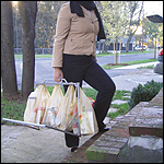 Trunk Grocery Hook & Organizer