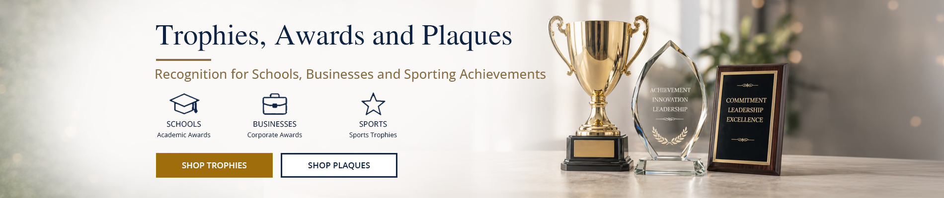 Trophies, awards and plaques including a gold trophy cup, crystal award and wood plaque with engraving