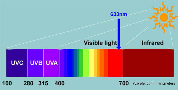 rejuv1.jpg (31608 bytes)