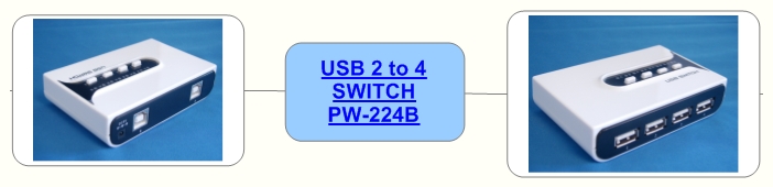 USB 2 to 4 SWITCH PW-224B