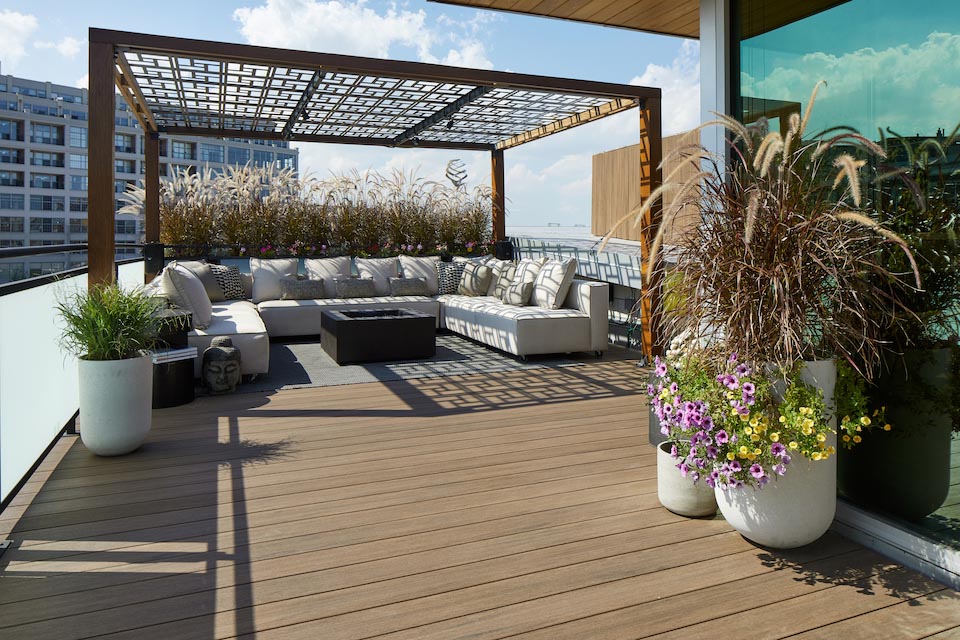 English Walnut Usage Photo