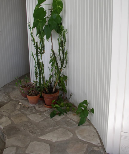 Beadboard on a Curved Wall
