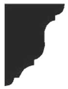 Olga Bracket