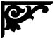 Cockatoo