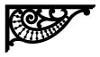 Nautilus