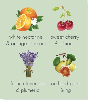 OLScents