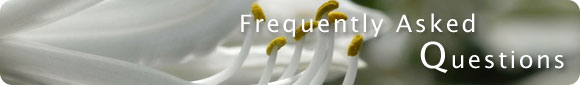 Frequently Asked Questions