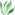 Herbal Supplements