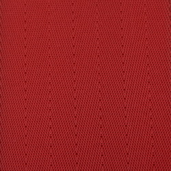 red seat belt webbing