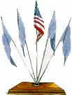 Flag Display