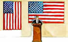 Flag Display