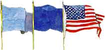 Flag Display