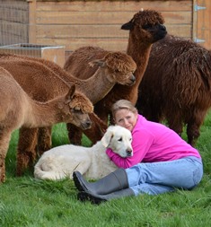 The Springtime Farms crew