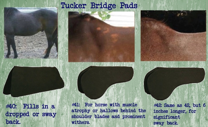 Tucker Bridge Saddle Pad Tucker Bridge Saddle Pad
