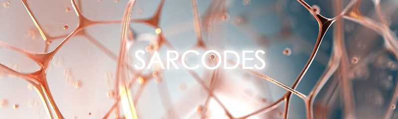 Sarcodes