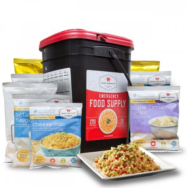 ReadyWise Emergency Food Supply, Freeze-Dried Powdered-Egg Bucket 144 Servings Egg