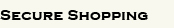 Secure Shopping