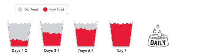Feeding Transition Guide