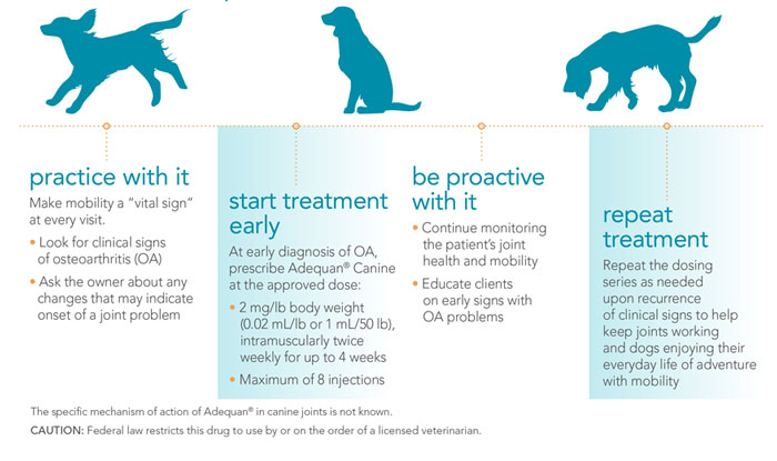 Arthritis Adequan Injections For Dogs Adequan Canine Injectable