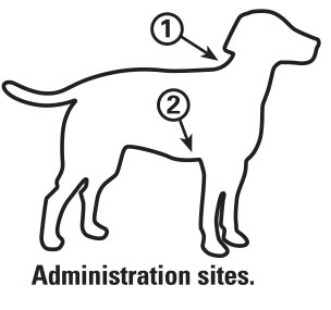 Canine Vaccine Administration Diagram
