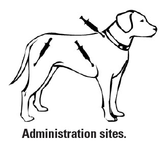 Canine Spectra 5 Administration Guide