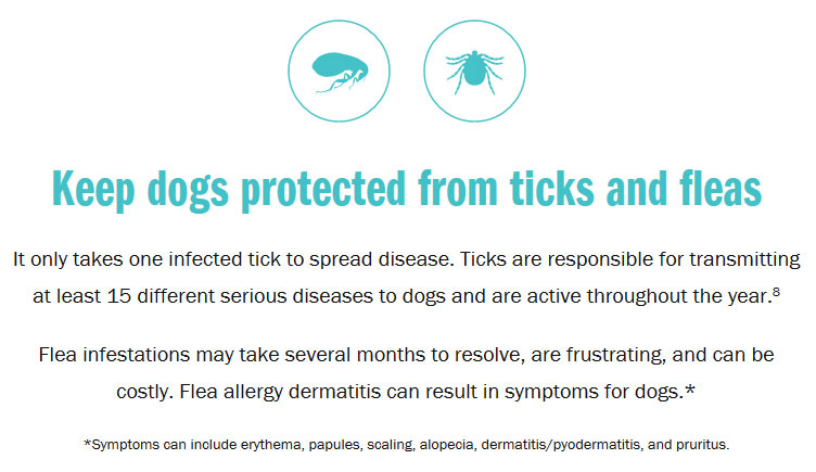 Simparica Trio for Dogs - 22.1-44.0 lbs (6 Chewable Tablets) - [Flea, Ticks & Heartworm]
