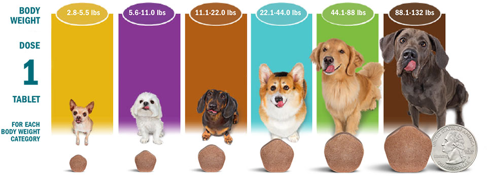 simparica trio table of tablet sizes with dog size