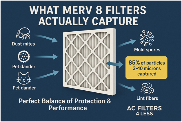 What MERV 8 filters actually capture