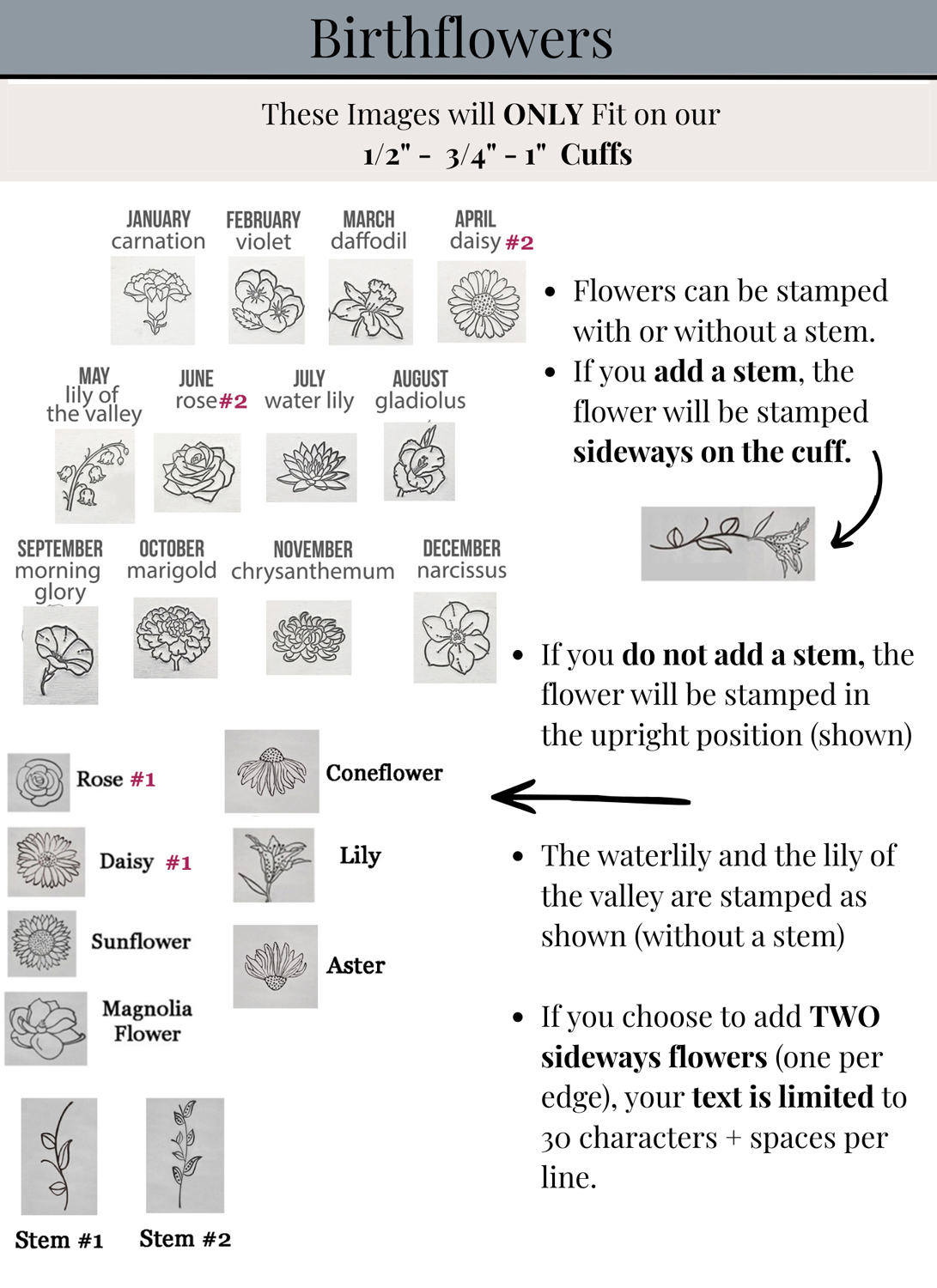Flower Images Page 2