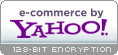 ecommerce provided by Yahoo! Store