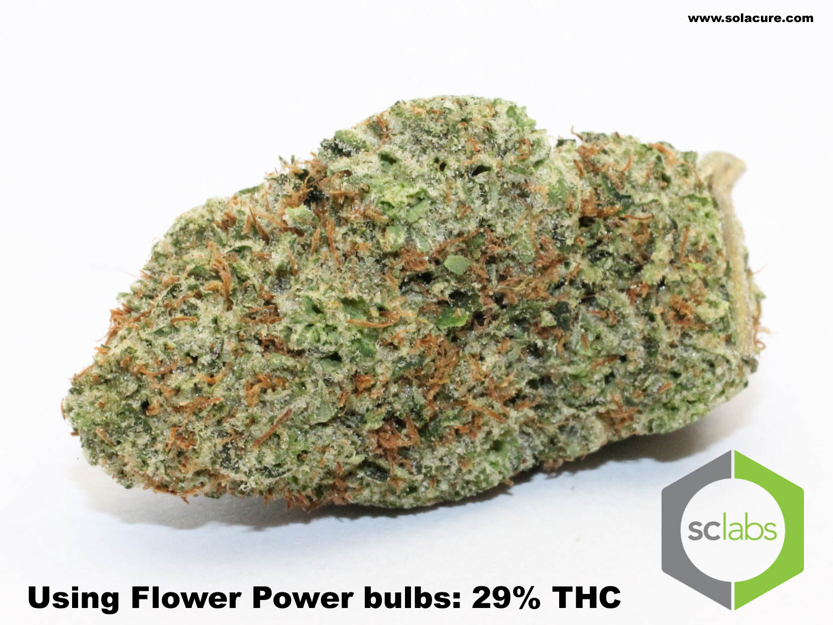 With Flower Power 29% THC