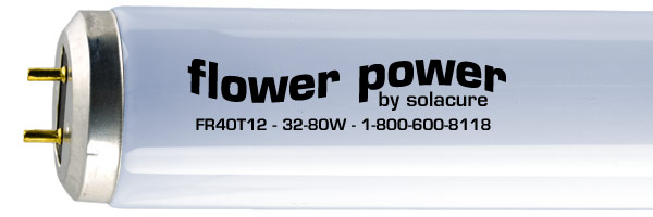 flower power