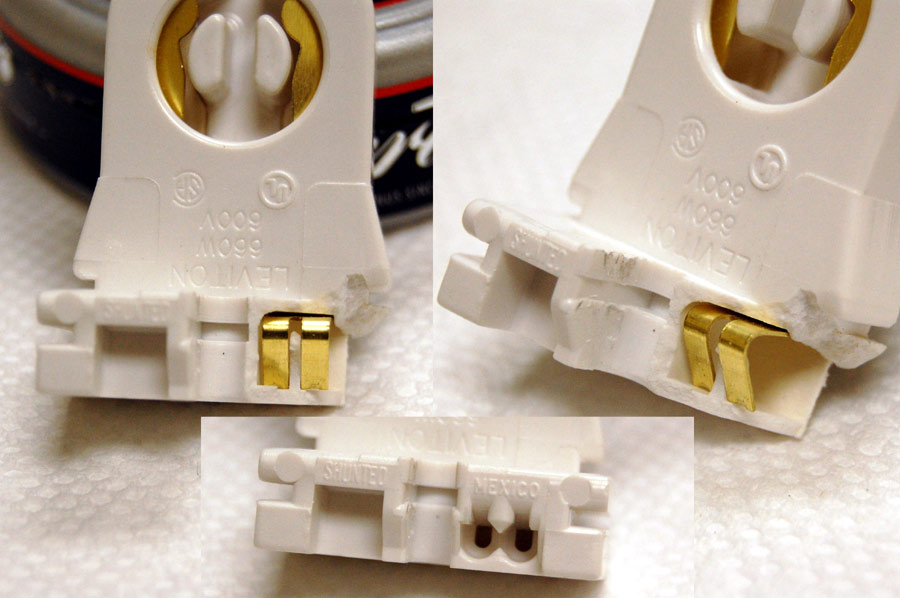 inside a lamp holder for T8 and T12 lamps