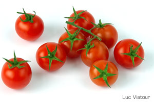 UV Curing ballasts for growing plants