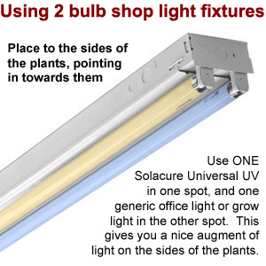 Using two bulb fixtures for growing cannabis