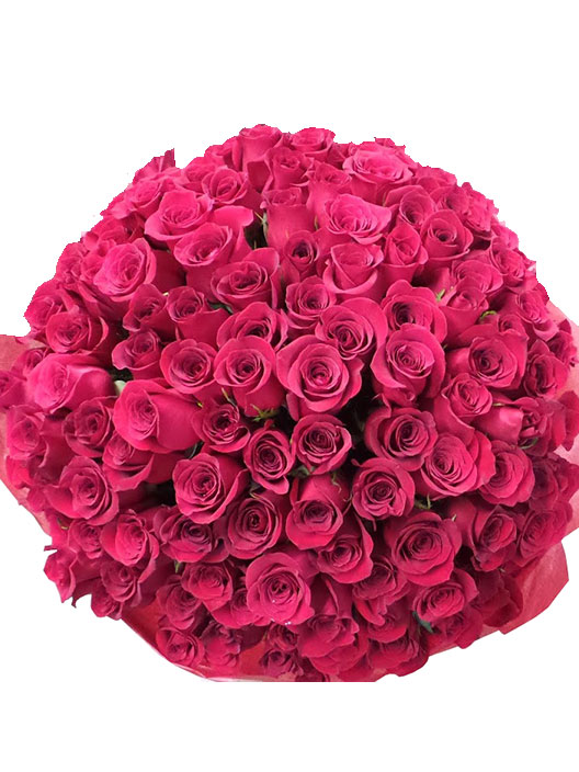 How Much For 100 Roses Everyday Flowers