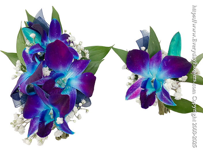 Blue Orchid Corsage & Boutonniere