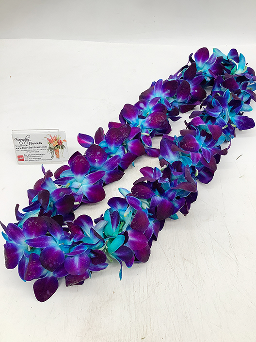 Blue Orchid Graduation Lei
