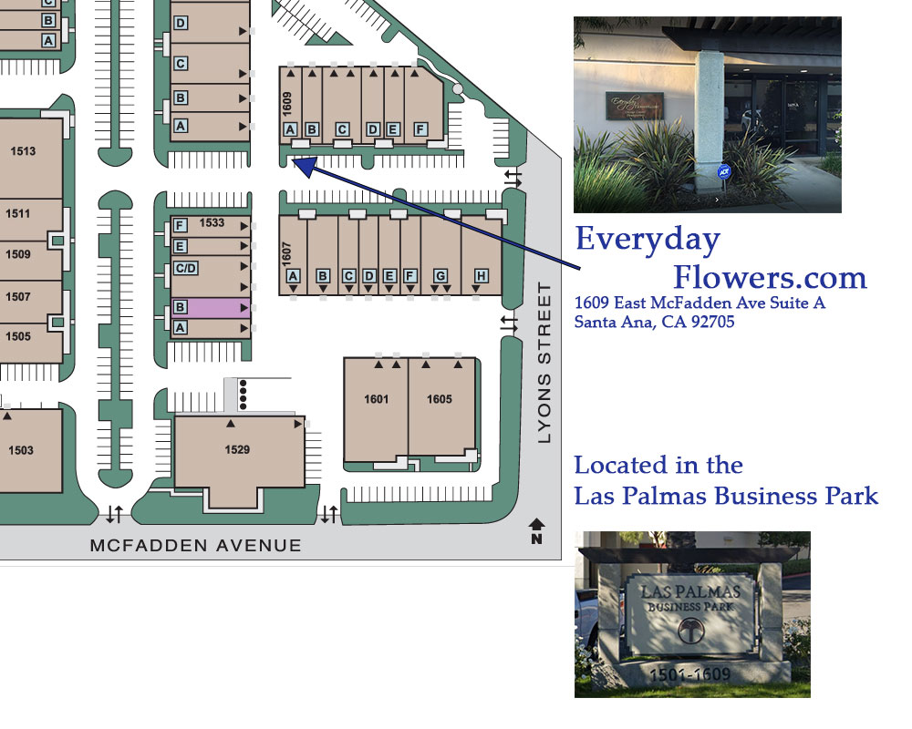 Sunflower Topiary Valentines Day